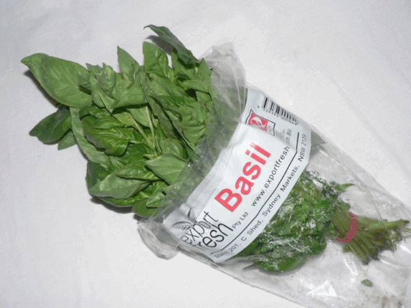 Basil - bunch