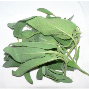 Sage - bunch
