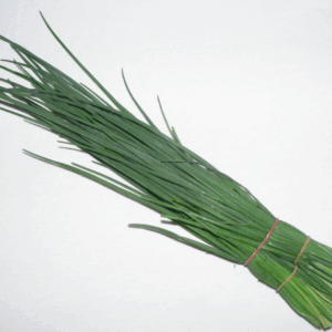 Chives - bunch