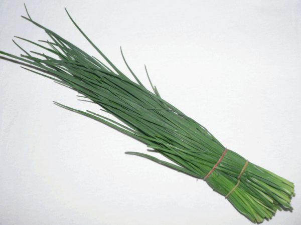 Chives - bunch