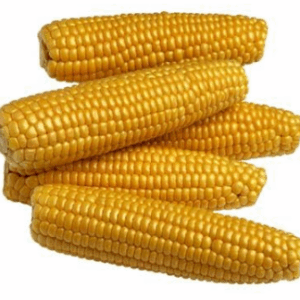 Corn Prepacked - 3 cobs packet