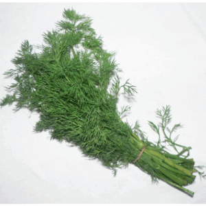 Dill - bunch