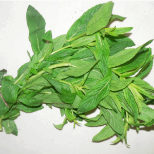 Mint - bunch