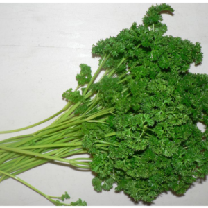 Parsley Curly - bunch