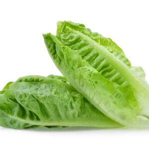 Lettuce Cos - each