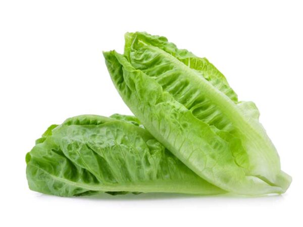 Lettuce Cos - each