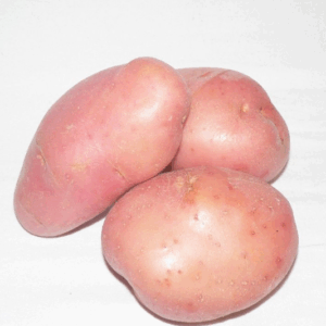 Potato Red No2 - 5kg prepacked bag