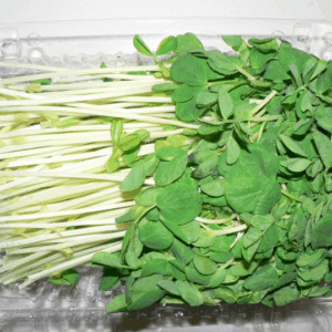Sprout Snow Pea - punnet