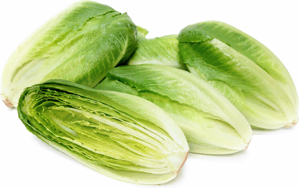 Lettuce Cos Hearts - pkt of 2