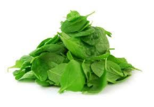 Salad - Baby Spinach - 500 gram