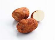 Potato Brushed No2 - 5kg prepacked bag