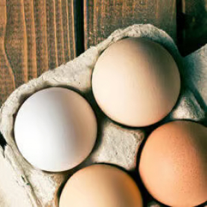 EGGS - GARLIC