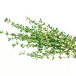 HERBS